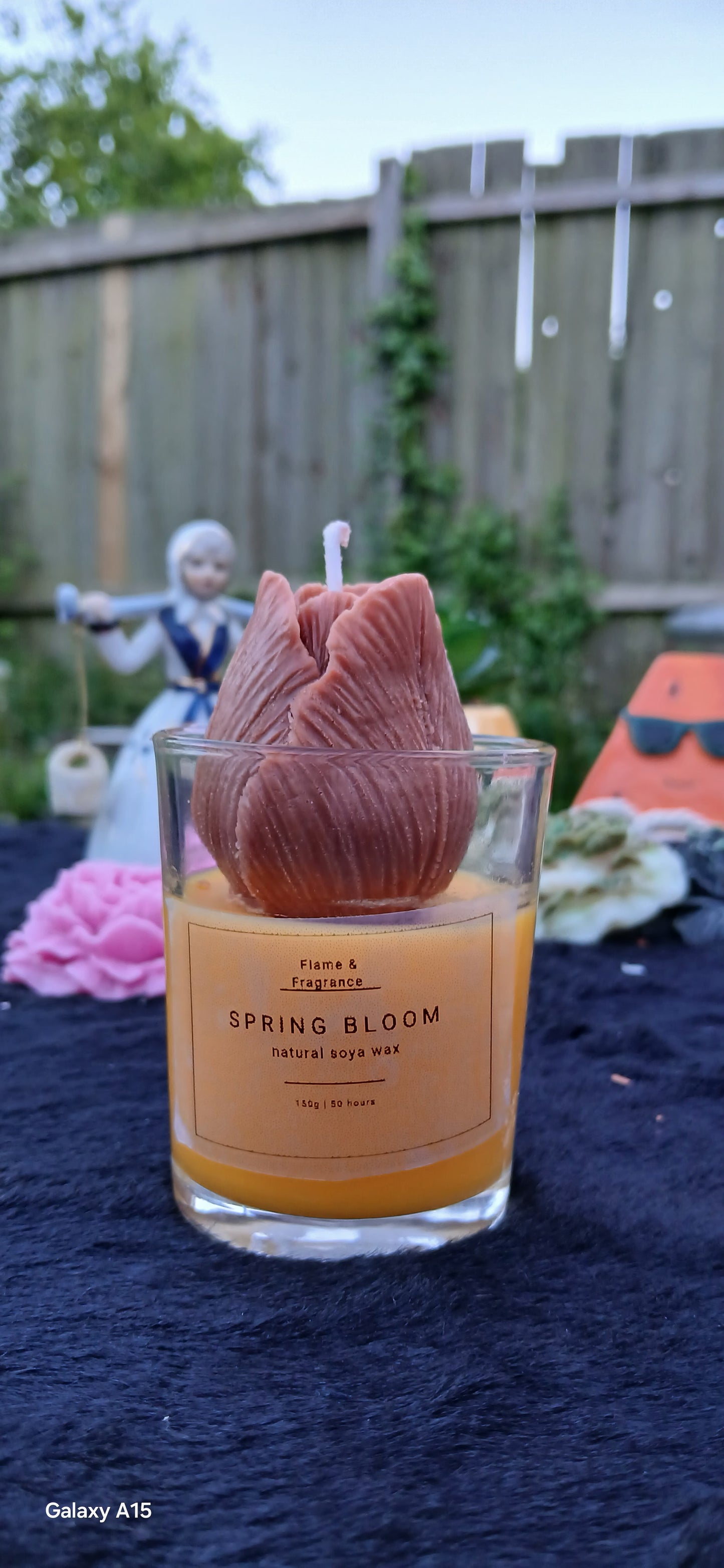 Spring Bloom