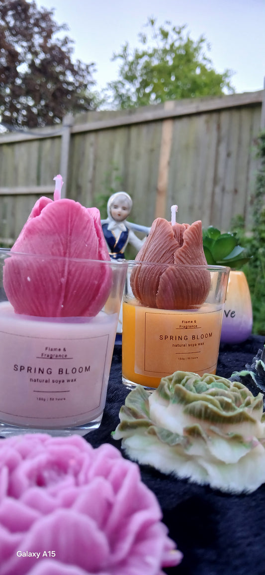 Spring Bloom